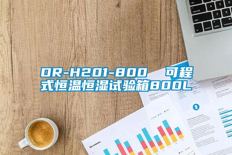 DR-H201-800  可程式恒溫恒濕試驗(yàn)箱800L