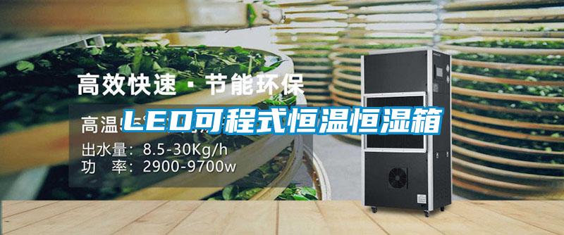 LED可程式恒溫恒濕箱