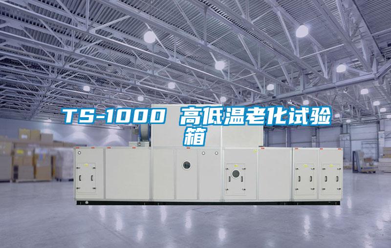 TS-1000 高低溫老化試驗箱