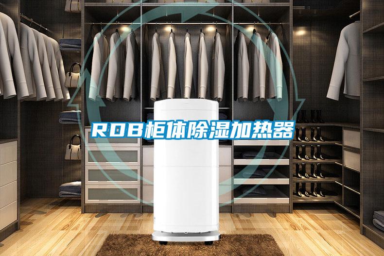 RDB柜體除濕加熱器