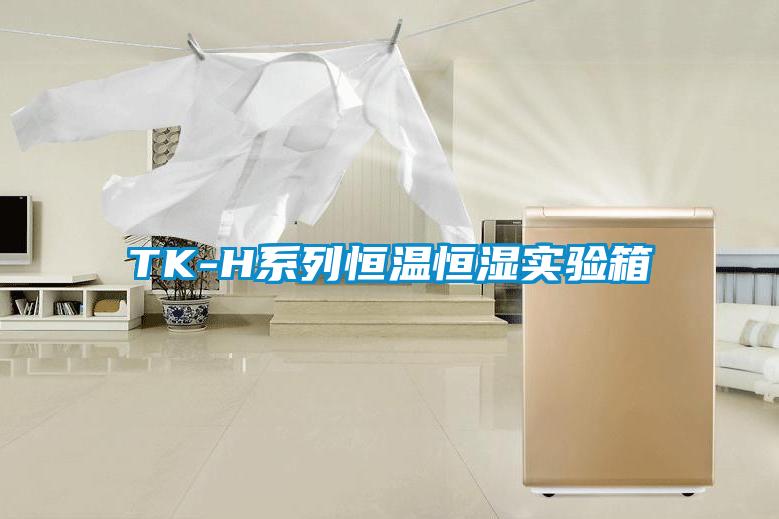 TK-H系列恒溫恒濕實(shí)驗(yàn)箱