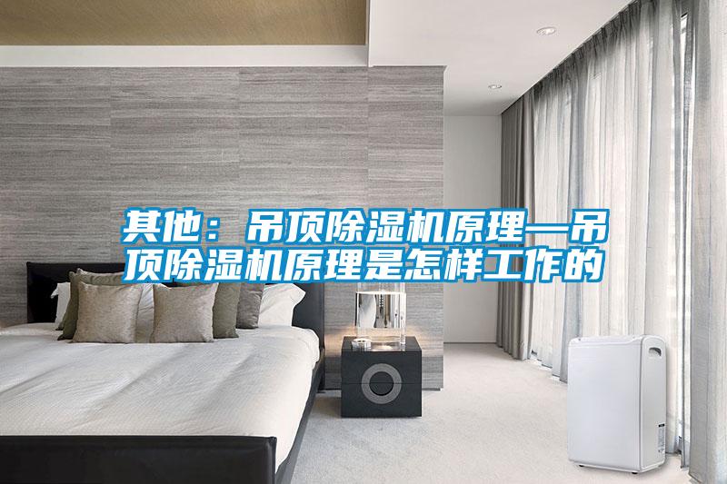 其他:吊頂除濕機原理—吊頂除濕機原理是怎樣工作的