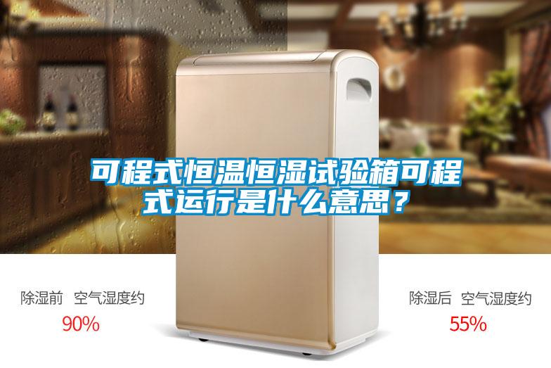 可程式恒溫恒濕試驗箱可程式運行是什么意思？