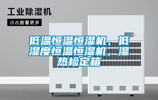 低溫恒溫恒濕機(jī),低濕度恒溫恒濕機(jī),濕熱檢定箱