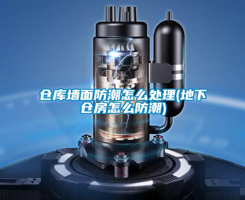 倉(cāng)庫(kù)墻面防潮怎么處理(地下倉(cāng)房怎么防潮)