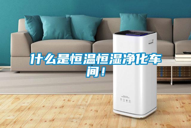 什么是恒溫恒濕凈化車(chē)間！