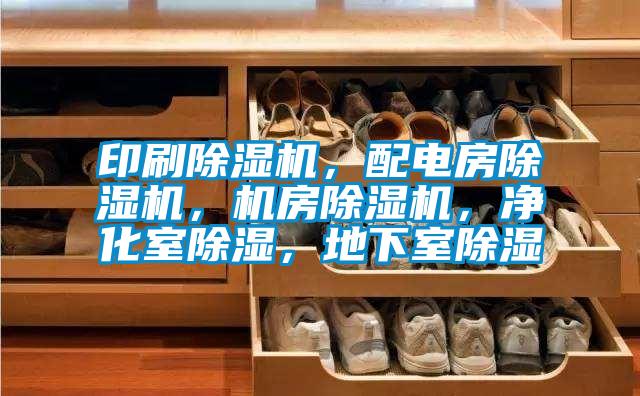 印刷除濕機，配電房除濕機，機房除濕機，凈化室除濕，地下室除濕
