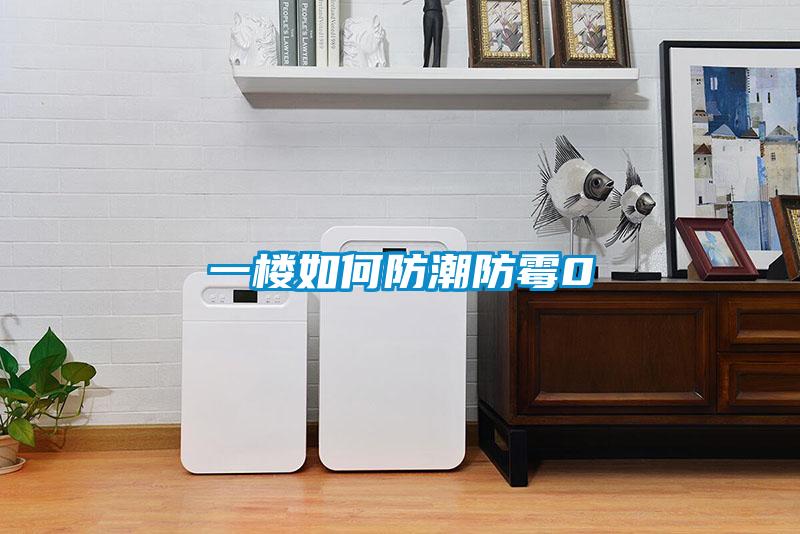 一樓如何防潮防霉0