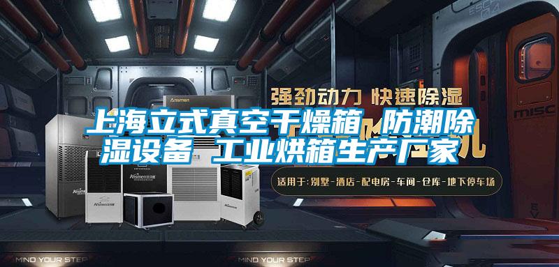 上海立式真空干燥箱 防潮除濕設備 工業烘箱生產廠家