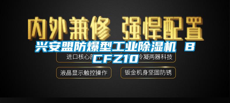 興安盟防爆型工業(yè)除濕機(jī) BCFZ10