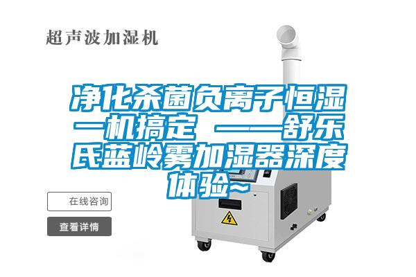 凈化殺菌負(fù)離子恒濕一機搞定 ——舒樂氏藍(lán)嶺霧加濕器深度體驗~