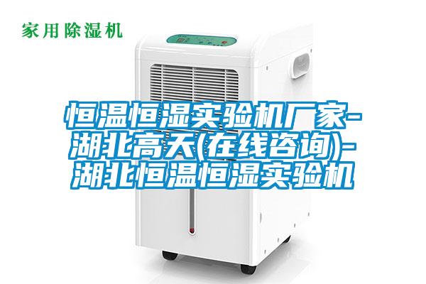 恒溫恒濕實驗機廠家-湖北高天(在線咨詢)-湖北恒溫恒濕實驗機