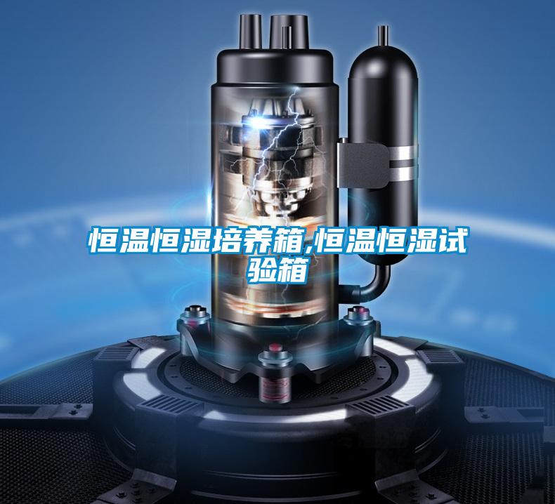 恒溫恒濕培養箱,恒溫恒濕試驗箱