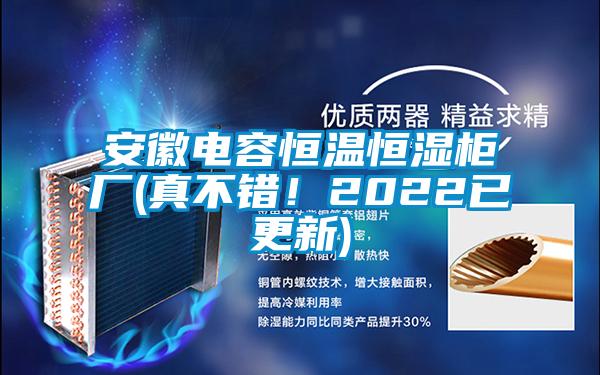 安徽電容恒溫恒濕柜廠(真不錯！2022已更新)