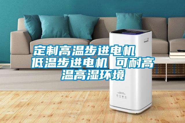 定制高溫步進電機 低溫步進電機 可耐高溫高濕環境