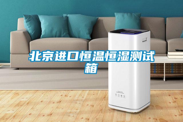 北京進(jìn)口恒溫恒濕測試箱