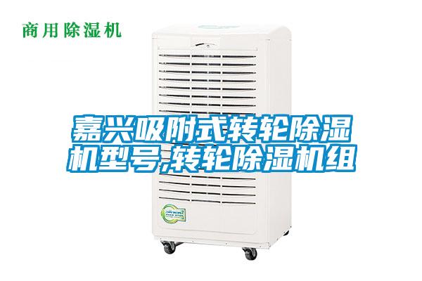 嘉興吸附式轉輪除濕機型號,轉輪除濕機組