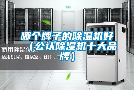 哪個牌子的除濕機好（公認除濕機十大品牌）