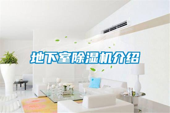 地下室除濕機介紹