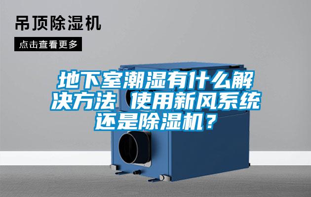 地下室潮濕有什么解決方法 使用新風系統還是除濕機？