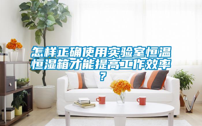 怎樣正確使用實(shí)驗(yàn)室恒溫恒濕箱才能提高工作效率?