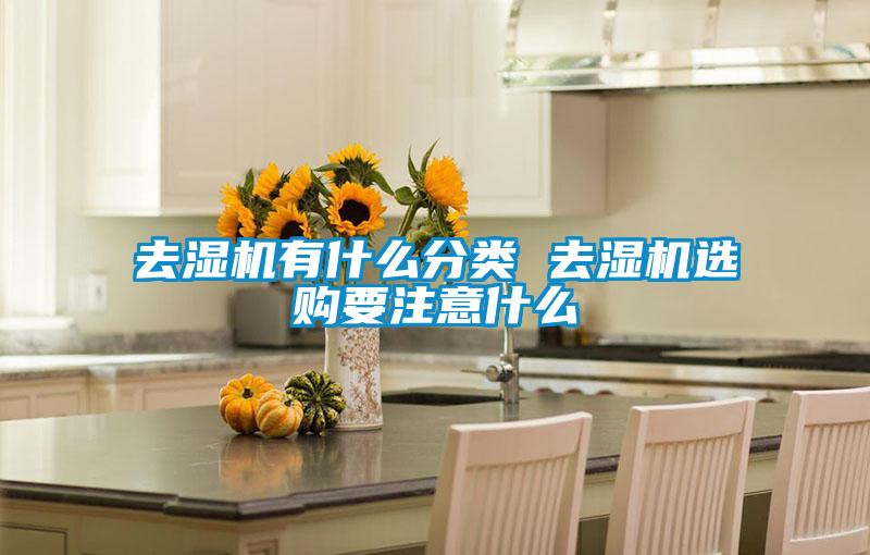 去濕機有什么分類 去濕機選購要注意什么