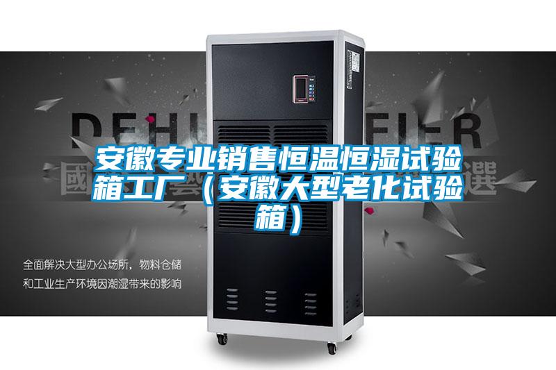 安徽專業銷售恒溫恒濕試驗箱工廠（安徽大型老化試驗箱）