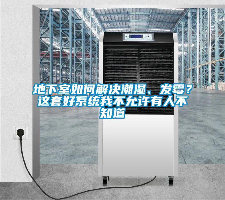 地下室如何解決潮濕、發霉？這套好系統我不允許有人不知道
