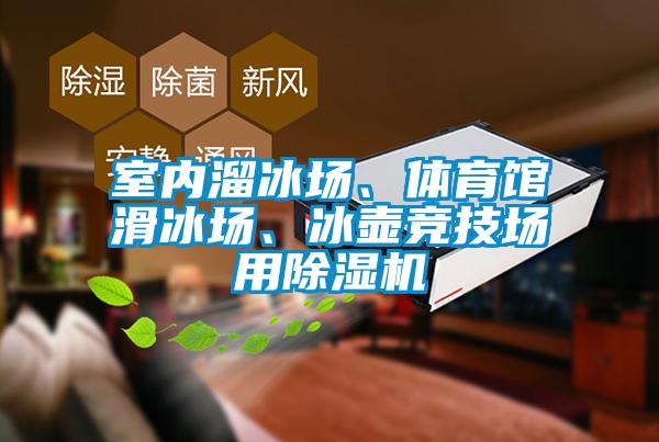 室內(nèi)溜冰場、體育館滑冰場、冰壺競技場用除濕機(jī)