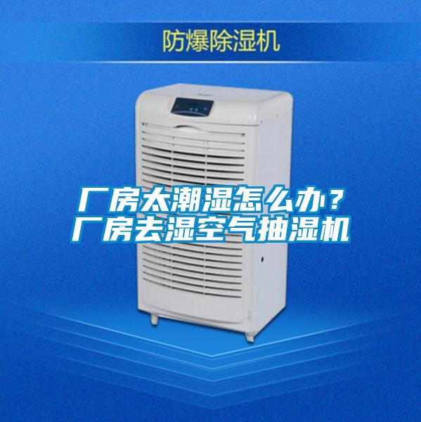 廠房太潮濕怎么辦？廠房去濕空氣抽濕機