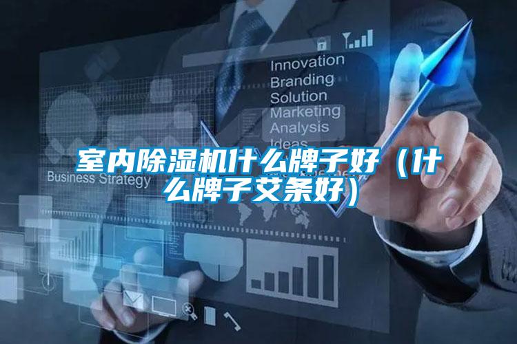 室內除濕機什么牌子好（什么牌子艾條好）