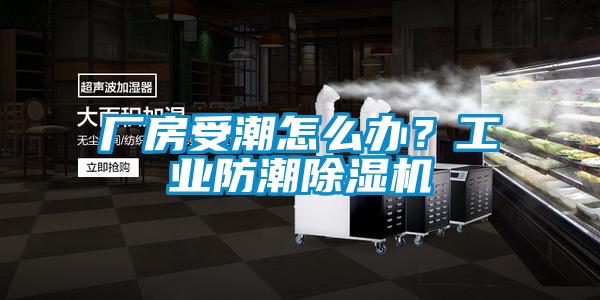 廠房受潮怎么辦？工業(yè)防潮除濕機(jī)