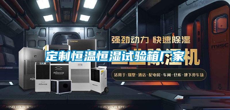 定制恒溫恒濕試驗箱廠家