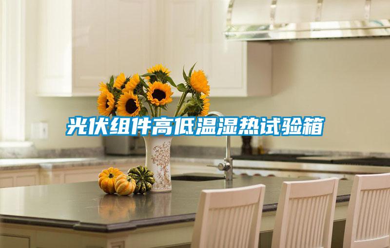 光伏組件高低溫濕熱試驗箱