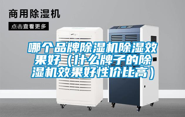 哪個品牌除濕機除濕效果好（什么牌子的除濕機效果好性價比高）