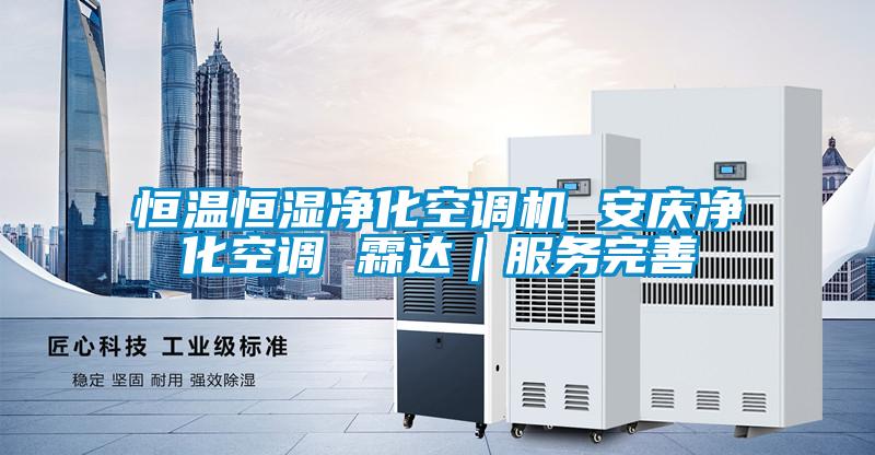 恒溫恒濕凈化空調(diào)機(jī) 安慶凈化空調(diào) 霖達(dá)|服務(wù)完善