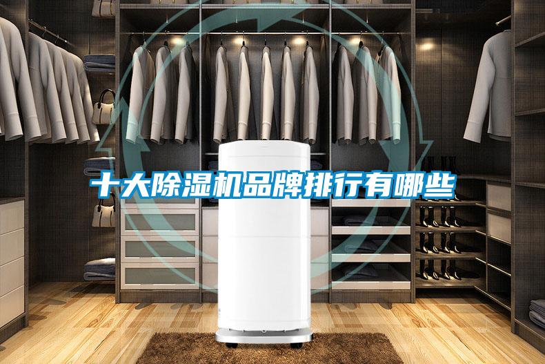 十大除濕機品牌排行有哪些