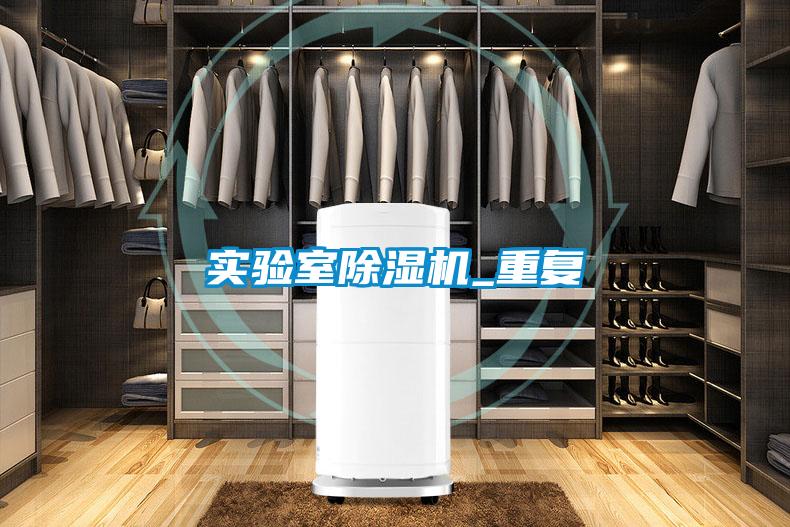 實驗室除濕機_重復