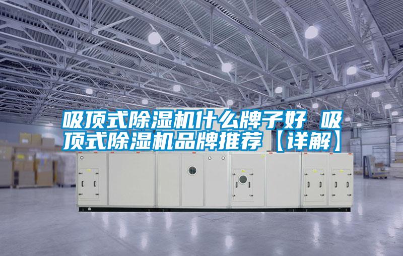 吸頂式除濕機什么牌子好 吸頂式除濕機品牌推薦【詳解】