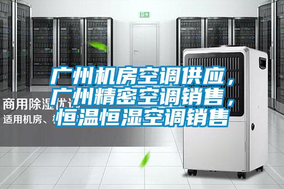 廣州機房空調供應,廣州精密空調銷售,恒溫恒濕空調銷售