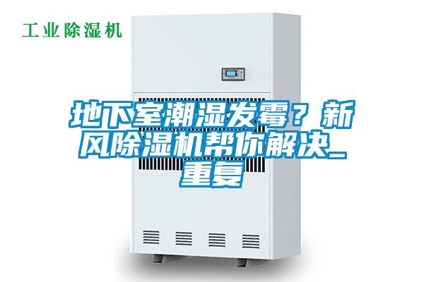 地下室潮濕發霉？新風除濕機幫你解決_重復