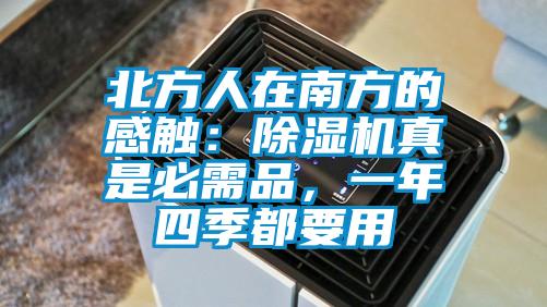 北方人在南方的感觸：除濕機真是必需品，一年四季都要用