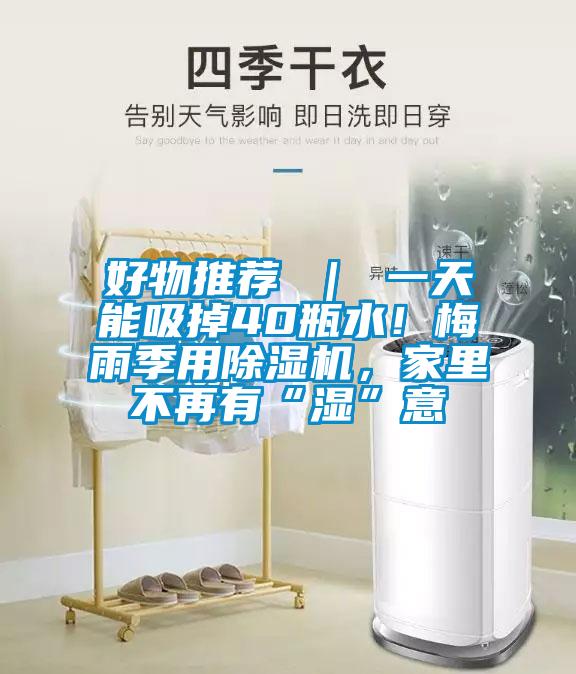 好物推薦 ｜ 一天能吸掉40瓶水！梅雨季用除濕機，家里不再有“濕”意