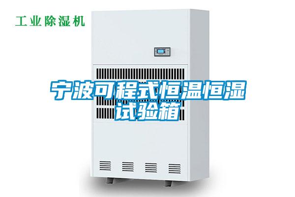 寧波可程式恒溫恒濕試驗箱