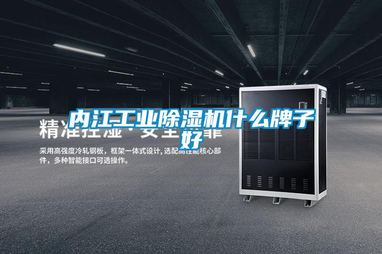 內(nèi)江工業(yè)除濕機什么牌子好