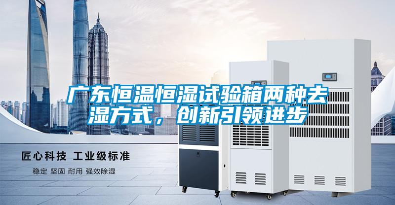 廣東恒溫恒濕試驗箱兩種去濕方式，創新引領進步