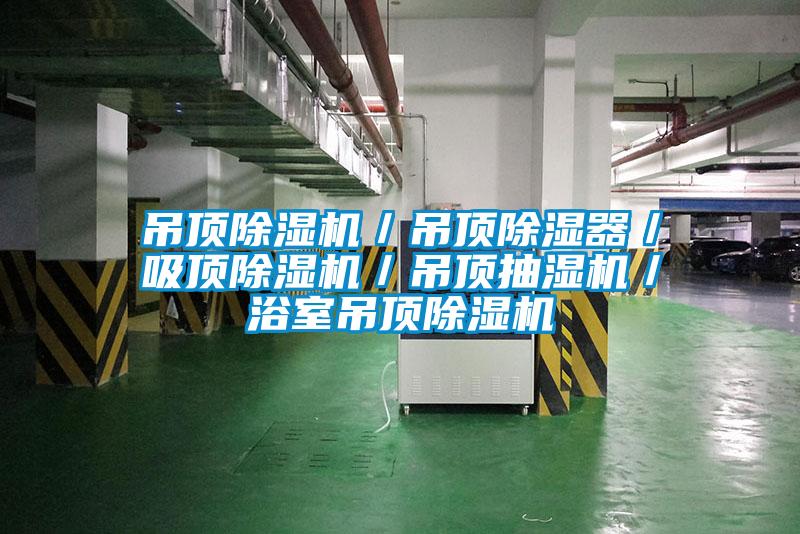 吊頂除濕機(jī)／吊頂除濕器／吸頂除濕機(jī)／吊頂抽濕機(jī)／浴室吊頂除濕機(jī)
