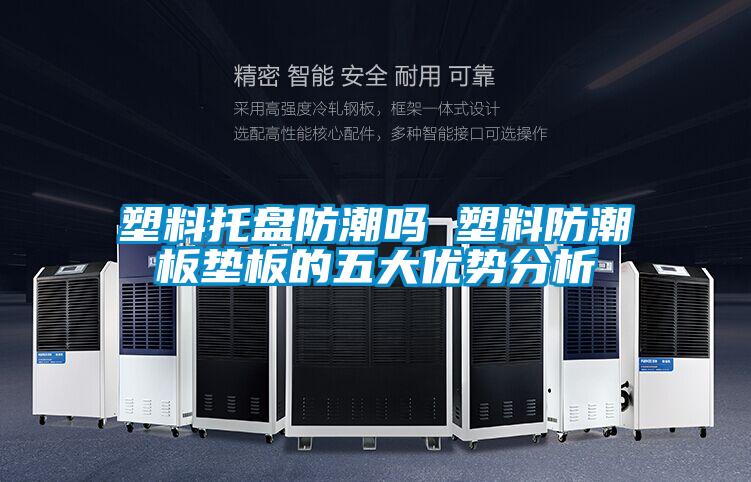 塑料托盤防潮嗎 塑料防潮板墊板的五大優(yōu)勢(shì)分析