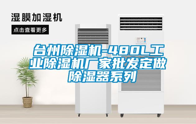 臺州除濕機-480L工業(yè)除濕機廠家批發(fā)定做 除濕器系列