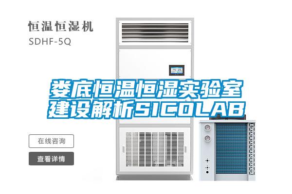 婁底恒溫恒濕實驗室建設解析SICOLAB